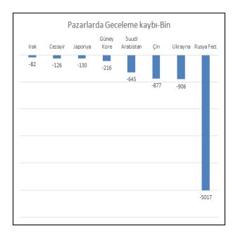 gecekaybı2022altıayRusya