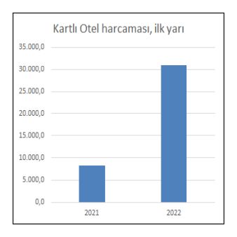 KREDİkartlıotelHarcama2022altiay