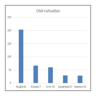 turkiyeotelRuhsat2022altiay