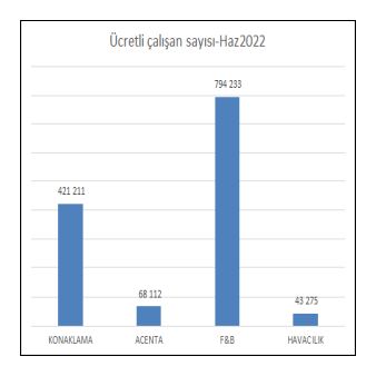 turizmucretliiscisayisi2022Haz