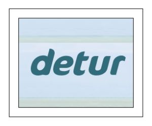 deturlogo